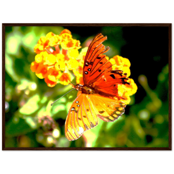 Luxury Photography with butterfly nature flowers on it for home or office or interior design or kitchen