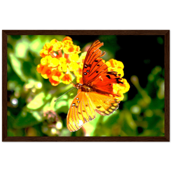 Luxury Photography with butterfly nature flowers on it for home or office or interior design or kitchen