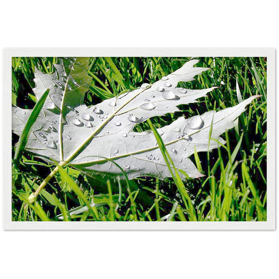 Luxury Art and Photography with nature, leaf and grass on it  in for home or office or interior design