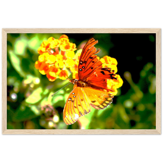 Luxury Photography with butterfly nature flowers on it for home or office or interior design or kitchen