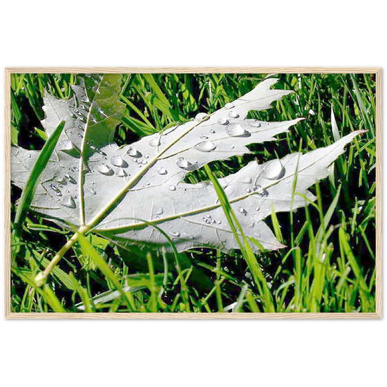 Luxury Art and Photography with nature, leaf and grass on it  in for home or office or interior design