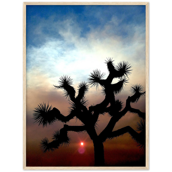 THE GLOW: The JKL Collection