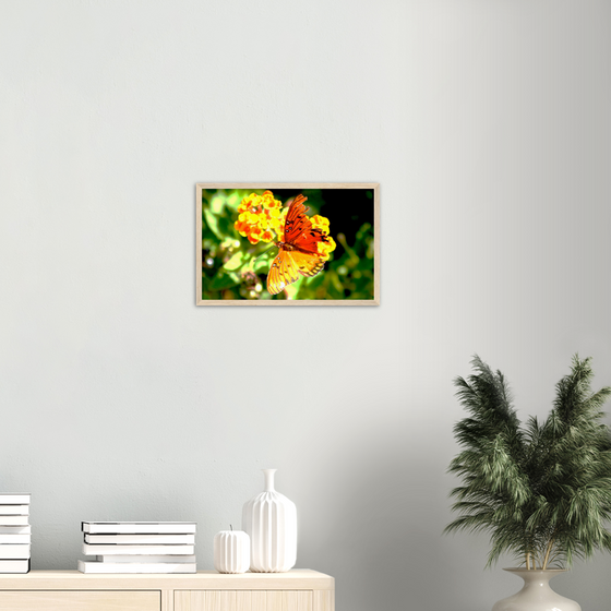 Luxury Photography with butterfly nature flowers on it for home or office or interior design or kitchen