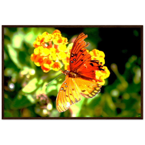 Luxury Photography with butterfly nature flowers on it for home or office or interior design or kitchen