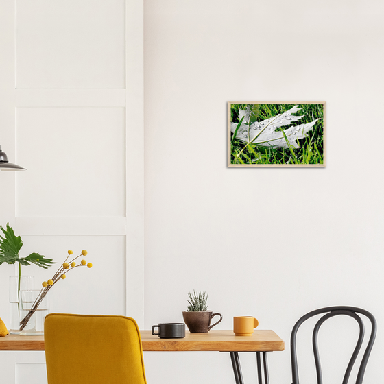 Luxury Art and Photography with nature, leaf and grass on it  in for home or office or interior design
