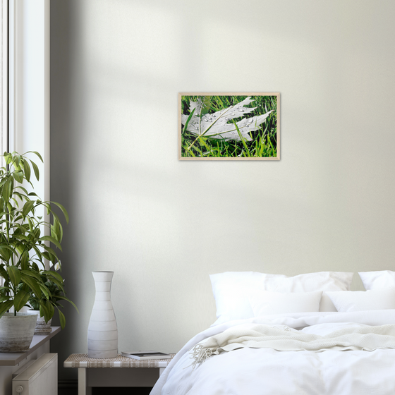 Luxury Art and Photography with nature, leaf and grass on it  in for home or office or interior design