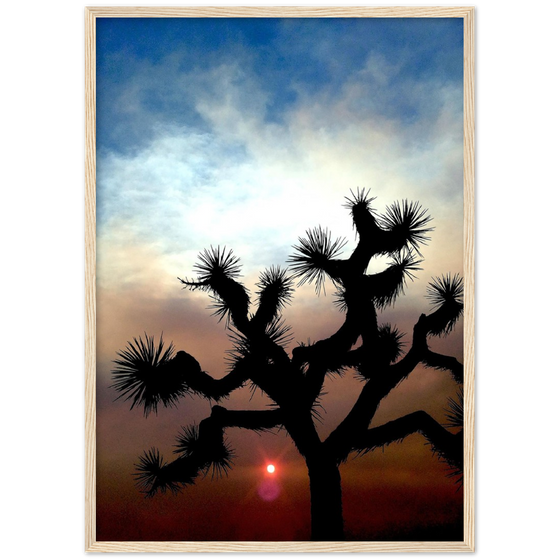 THE GLOW: The JKL Collection