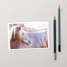 Postcard of a brown horse photo