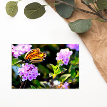  Postcard of a butterfly on top of purple flowers